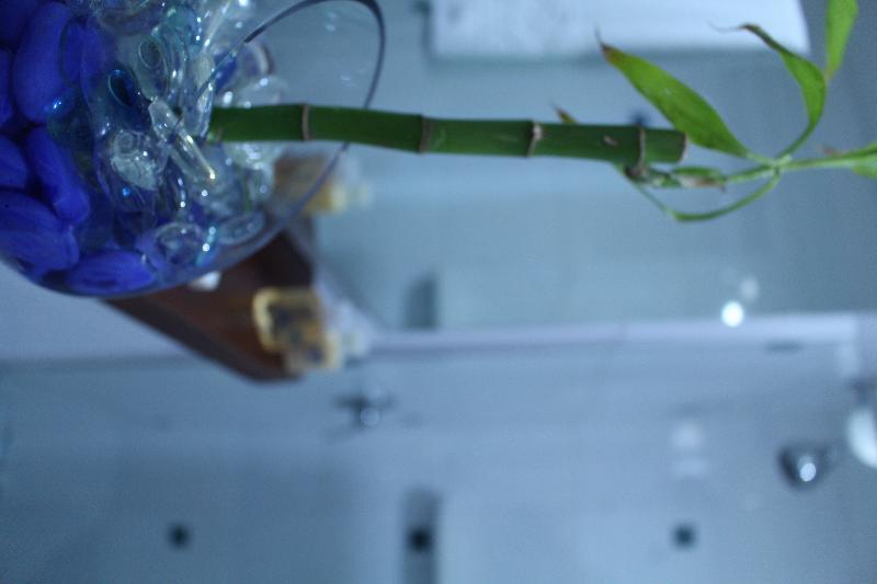 Ayenda 1801 El Oceano Cartagena